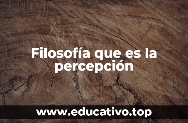 Filosofía que es la percepción