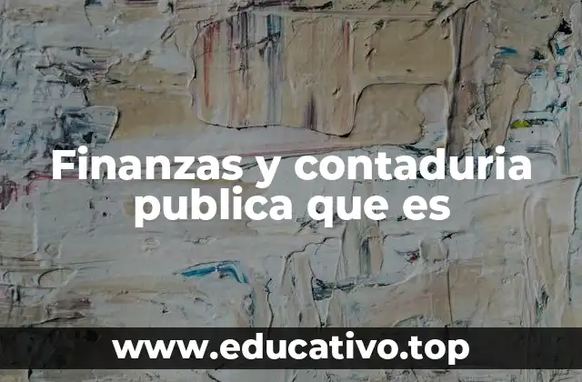 Finanzas y contaduria publica que es