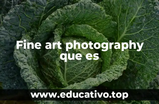 Fine art photography que es