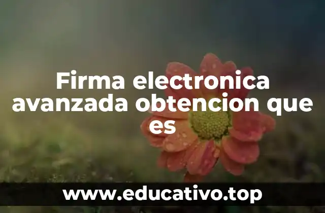 Firma electronica avanzada obtencion que es