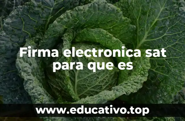 Firma electronica sat para que es