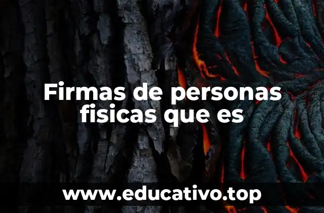 Firmas de personas fisicas que es