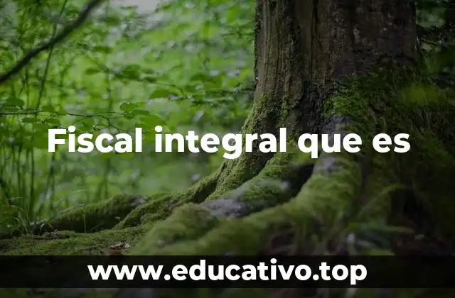 Fiscal integral que es