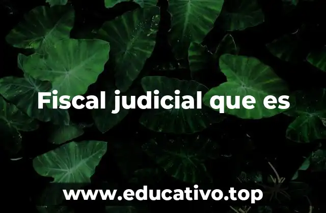 Fiscal judicial que es