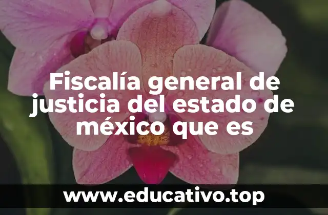 Fiscalía general de justicia del estado de méxico que es