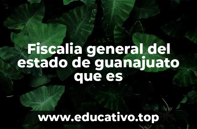 Fiscalia general del estado de guanajuato que es