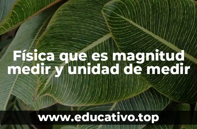 Física que es magnitud medir y unidad de medir