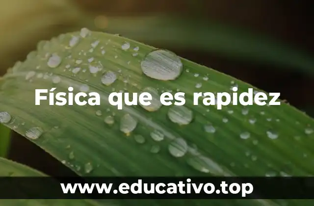 Física que es rapidez