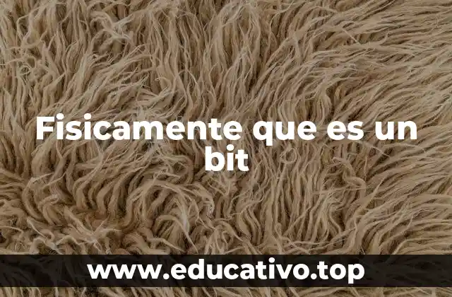 Fisicamente que es un bit
