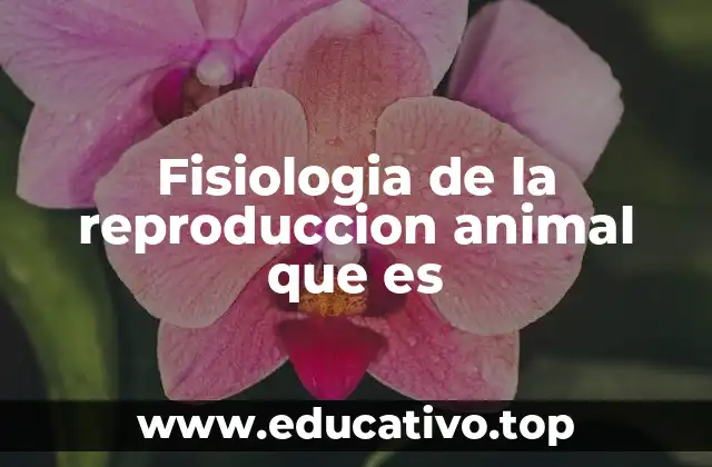 Cómo se estudia el sistema reproductivo de los animales