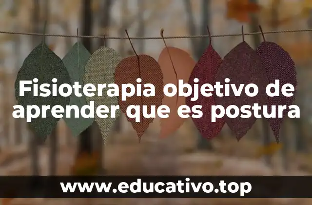Fisioterapia objetivo de aprender que es postura