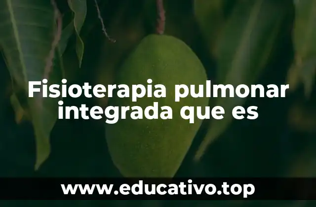 Fisioterapia pulmonar integrada que es