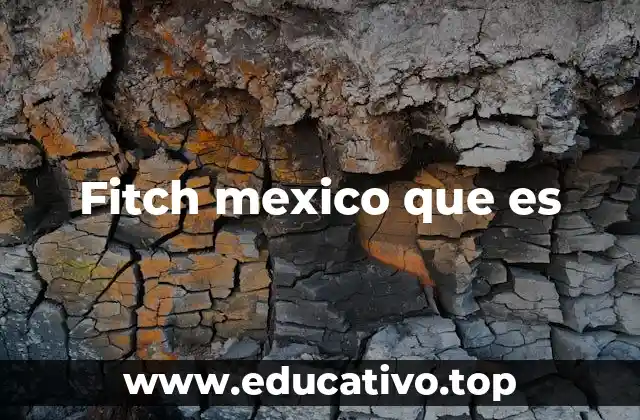 Fitch mexico que es