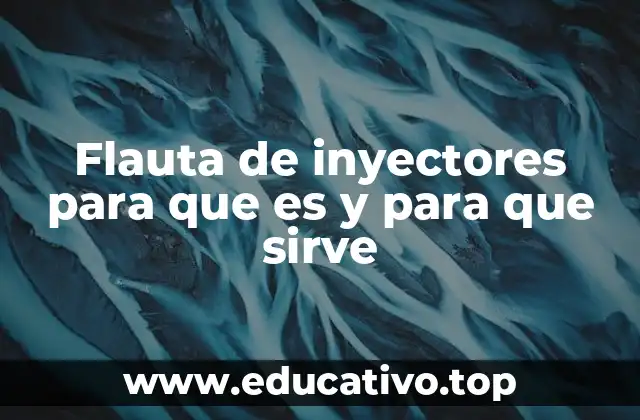 Flauta de inyectores para que es y para que sirve