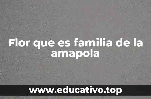 Flor que es familia de la amapola