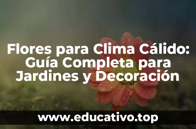 Flores para Clima Cálido: Guía Completa para Jardines y Decoración