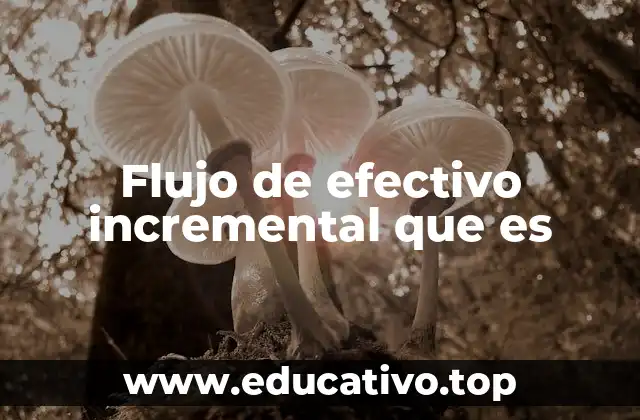 Flujo de efectivo incremental que es