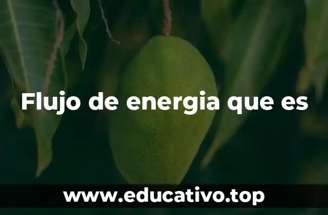 Flujo de energia que es