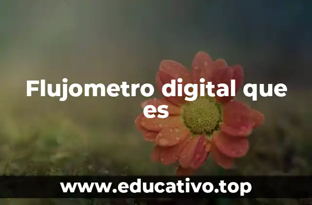 Flujometro digital que es