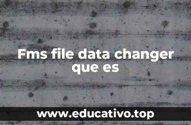 Fms file data changer que es