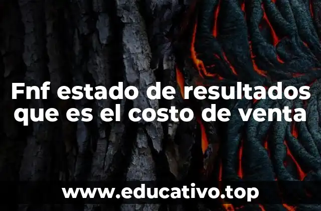 Fnf estado de resultados que es el costo de venta