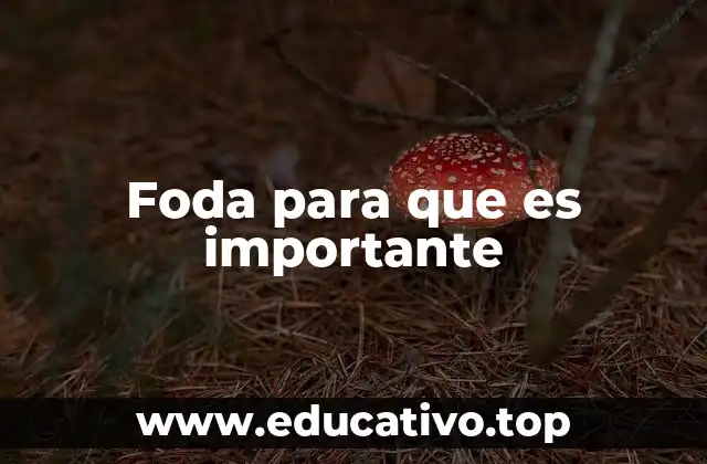 Foda para que es importante