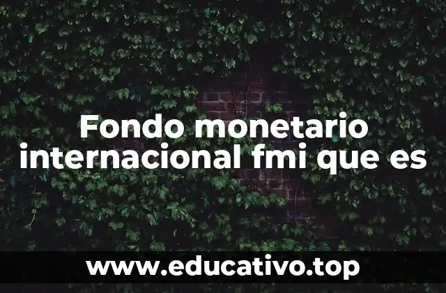 Fondo monetario internacional fmi que es