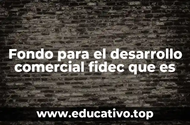 Fondo para el desarrollo comercial fidec que es