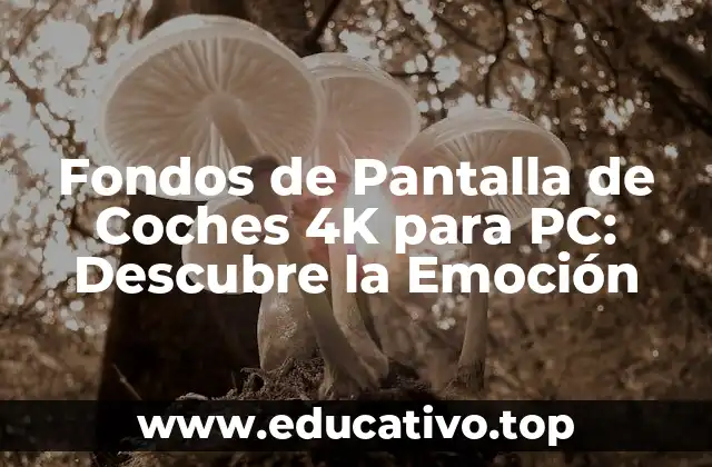 Fondos de Pantalla de Coches 4K para PC: Descubre la Emoción