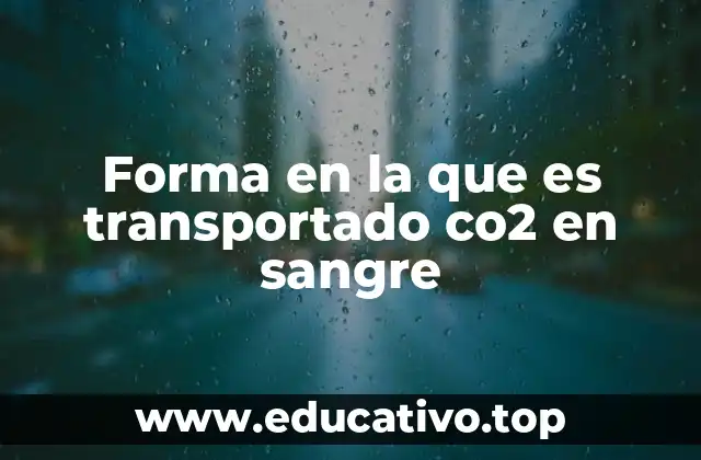 El papel de la sangre en el intercambio gaseoso