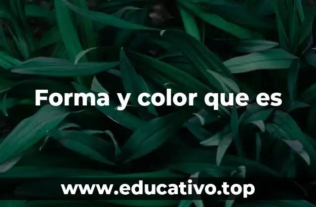 Forma y color que es