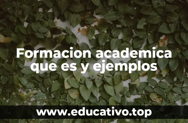 Formacion academica que es y ejemplos