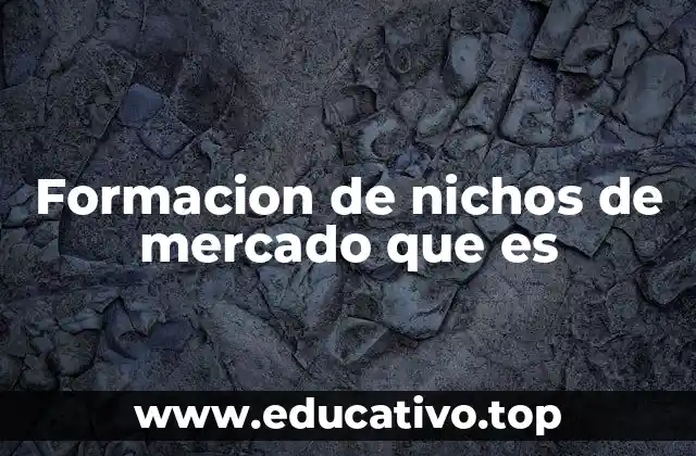 Formacion de nichos de mercado que es
