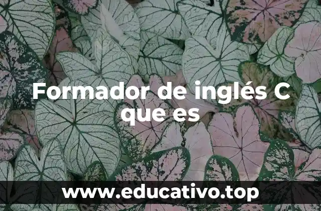 Formador de inglés C que es