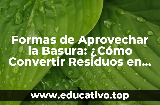 Formas de Aprovechar la Basura: ¿Cómo Convertir Residuos en Recursos?