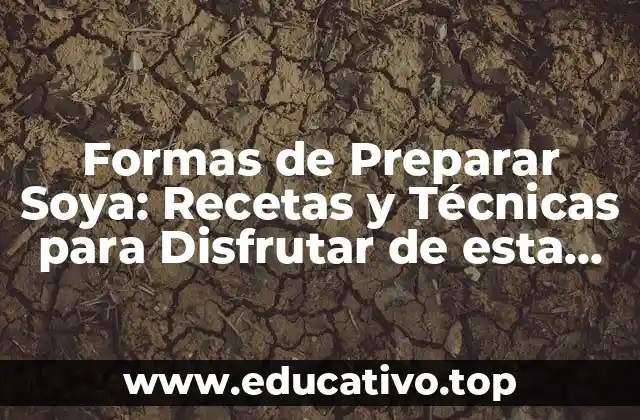 Formas de Preparar Soya: Recetas y Técnicas para Disfrutar de esta Legumbre Saludable