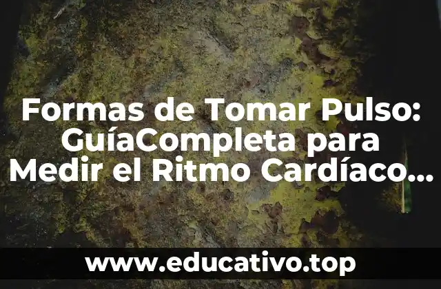 Formas de Tomar Pulso: GuíaCompleta para Medir el Ritmo Cardíaco con Precisión