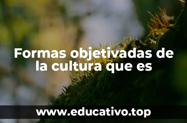 Formas objetivadas de la cultura que es
