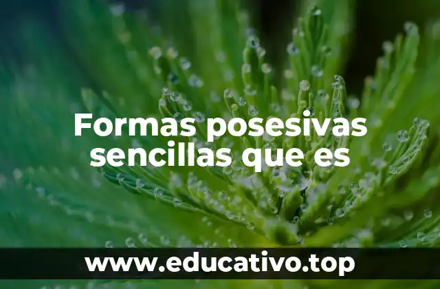 Formas posesivas sencillas que es