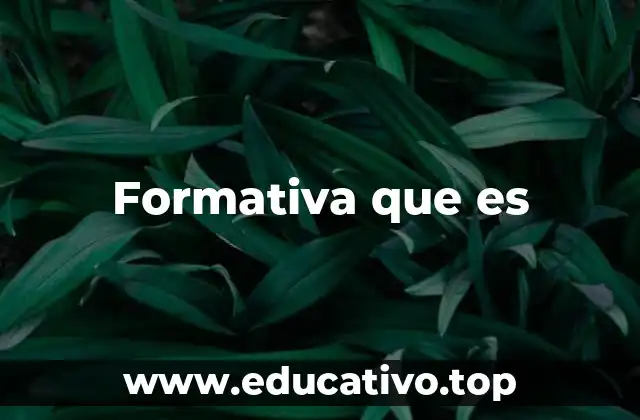 Formativa que es