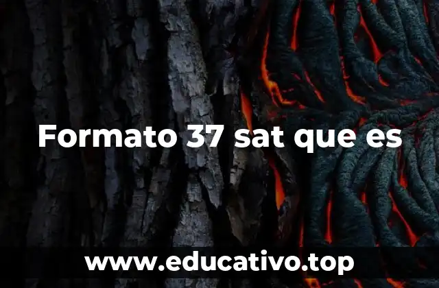 Formato 37 sat que es