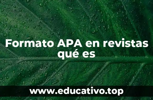 Formato APA en revistas qué es