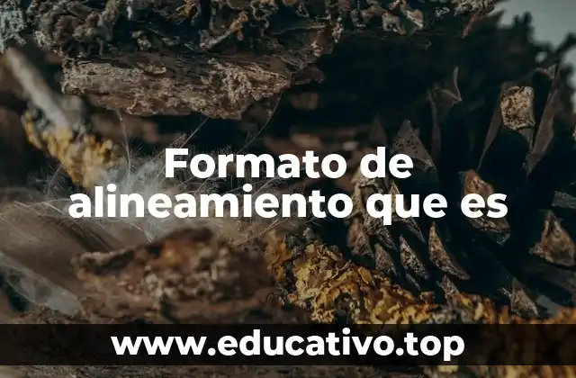 Formato de alineamiento que es
