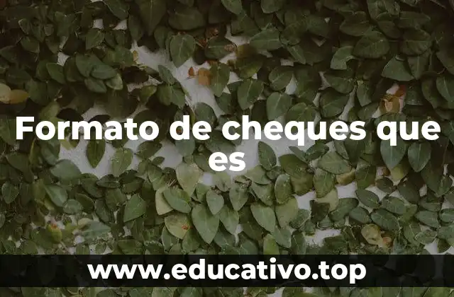 Formato de cheques que es