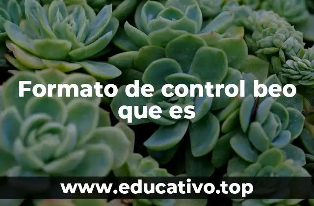 Formato de control beo que es