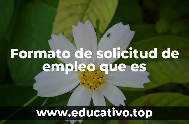 Formato de solicitud de empleo que es