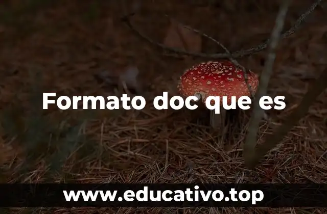 Formato doc que es
