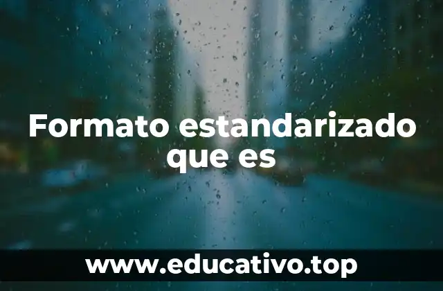 Formato estandarizado que es