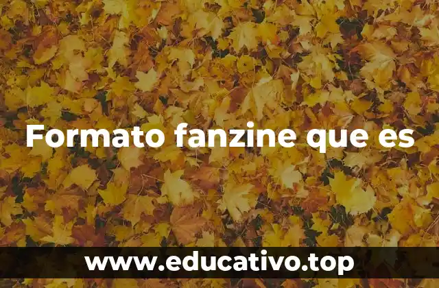 Formato fanzine que es