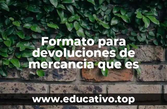 Formato para devoluciones de mercancia que es